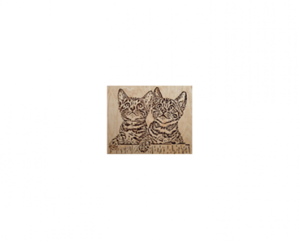 Wandbild Katzenkinder