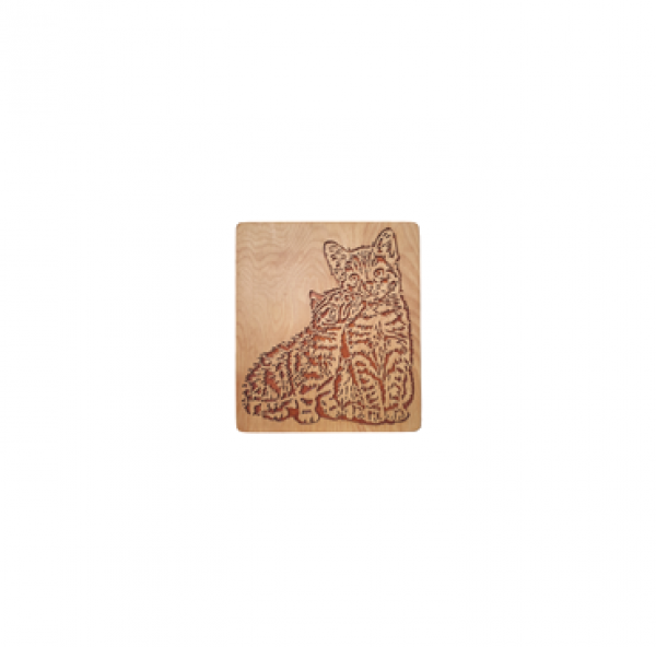 Wandbild Kuschelkatzen